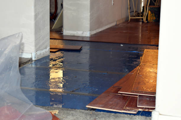 Professional Water Damage Restoration technician working in Thorp, WI